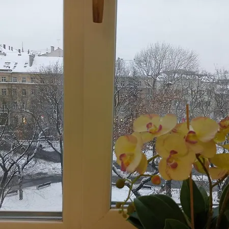 On Historical Center Of Appartement Lviv